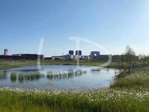 WhatsApp Image 2023-06-28 at 15.33.58 (2).jpeg